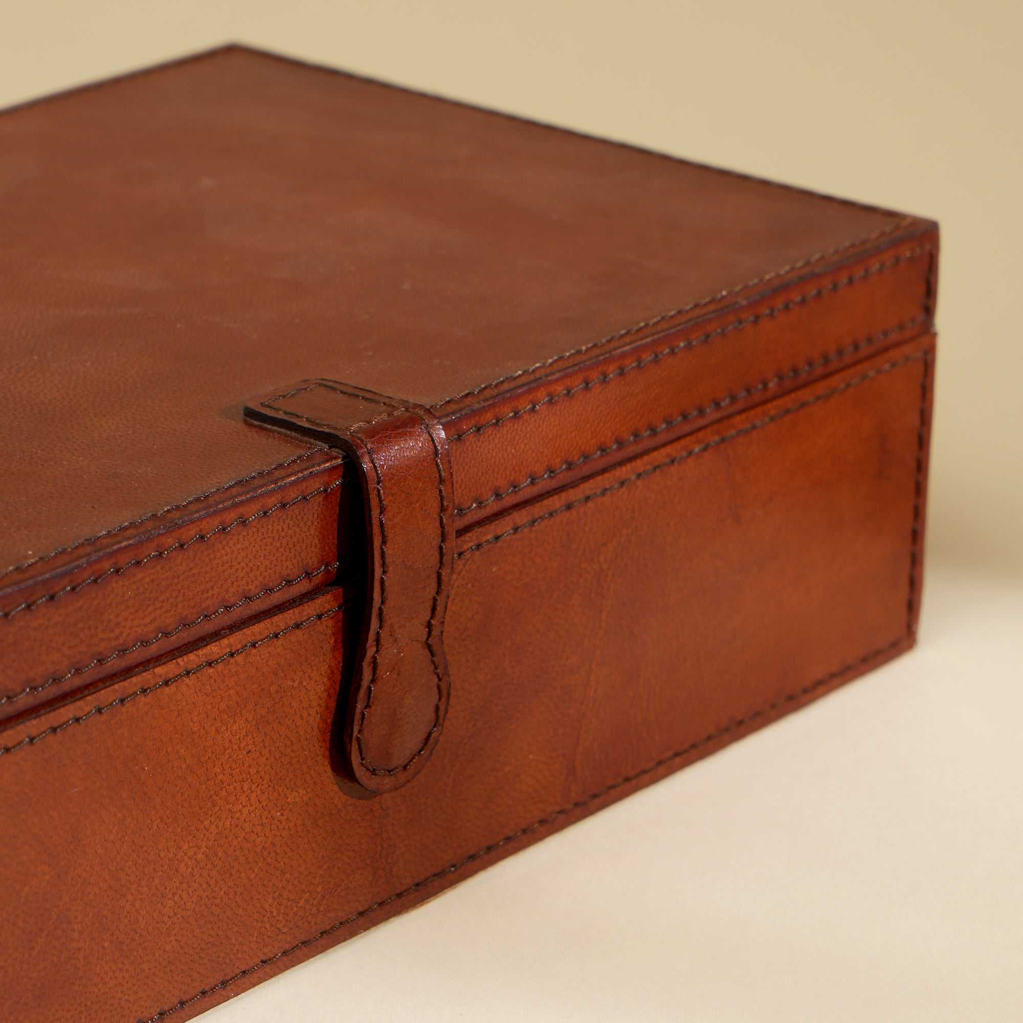 Luxury Tan Leather Collector’s Box for Watches & Accessories