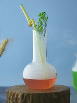 Botanical Sundowner Glass in borosilicate glass, 450 ml