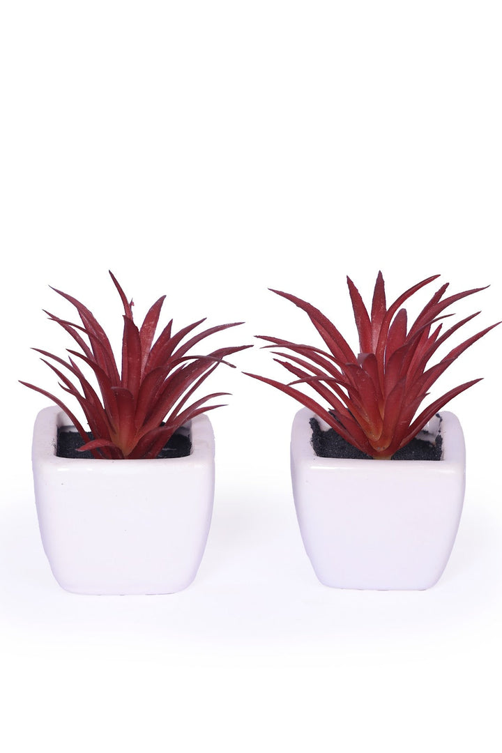 Expobazaar Modern Artificial Grass Bonsai for Stylish Interiors