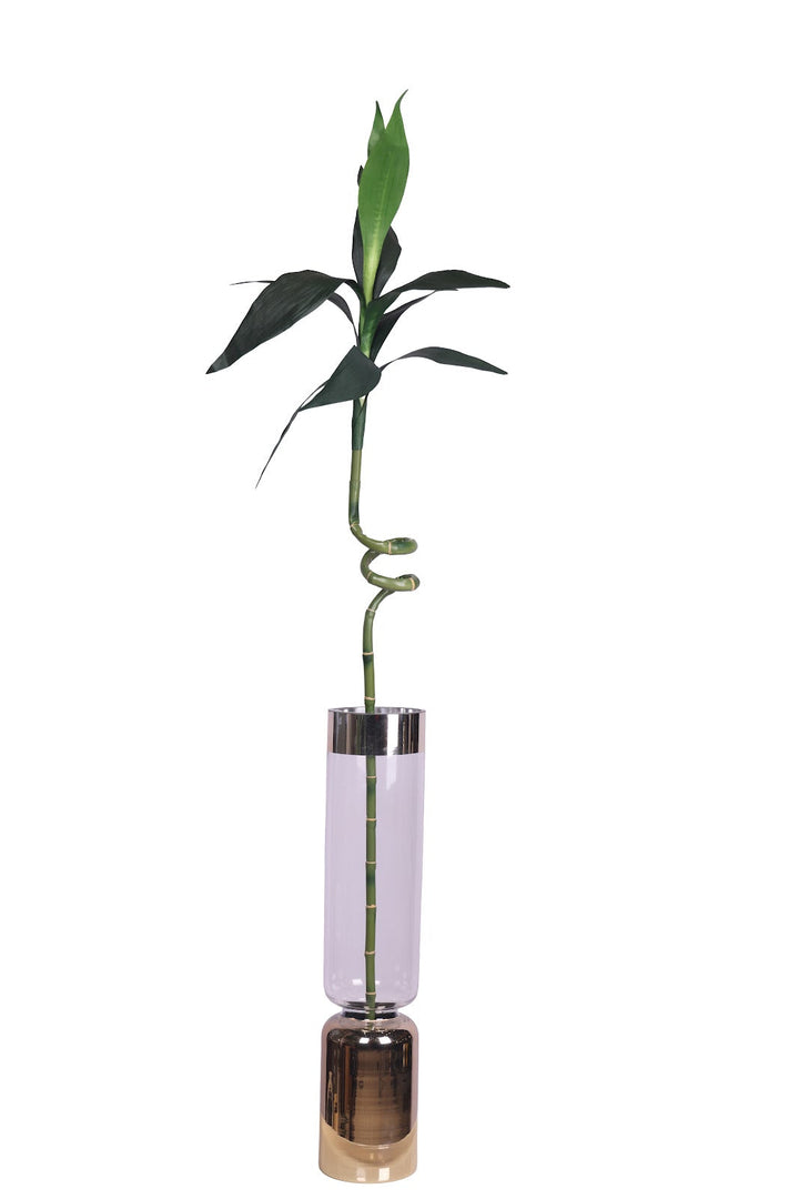 Expobazaar Elegant Spiral Lucky Bamboo Stick