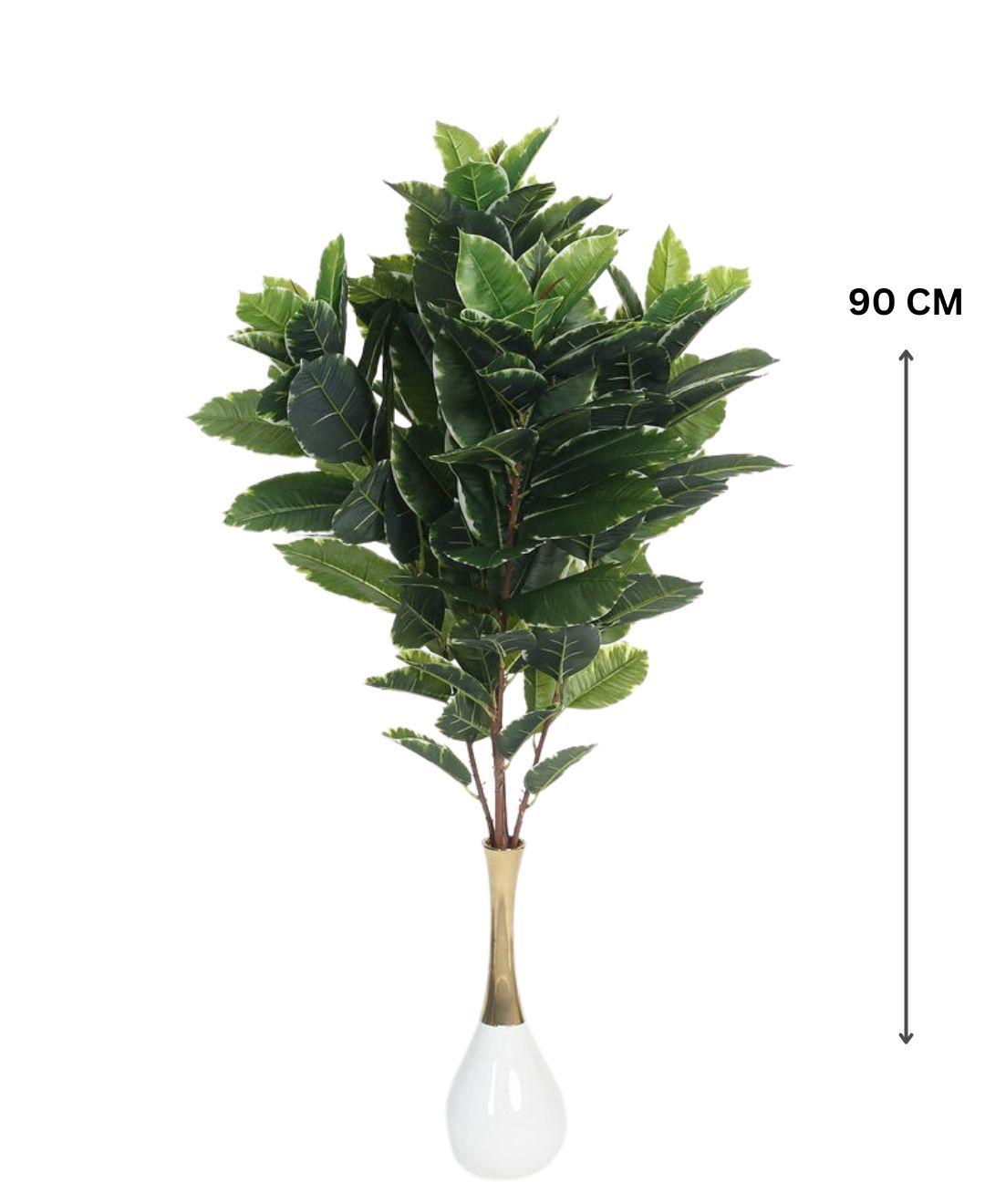 Expobazaar Lush Green Foliage Plant for Elegant Home Interiors