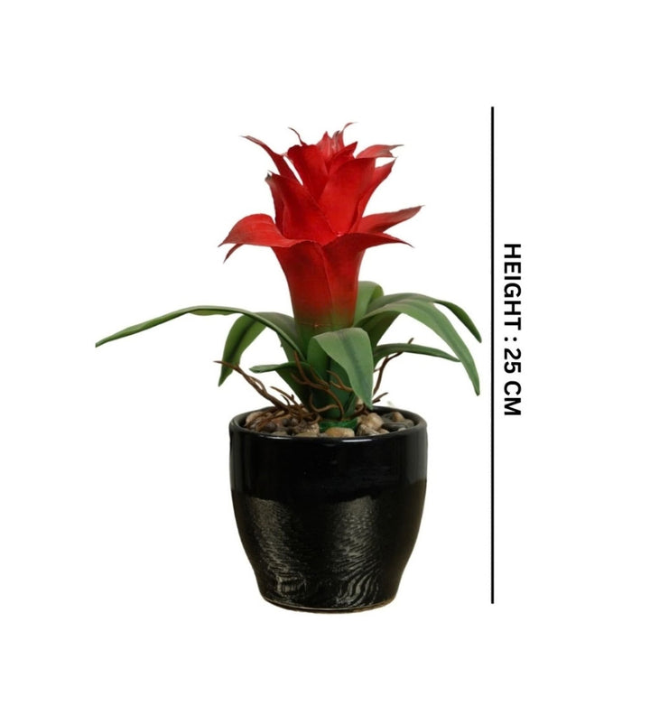 Expobazaar Artificial Bromeliad Bonsai for Vibrant Table Decor