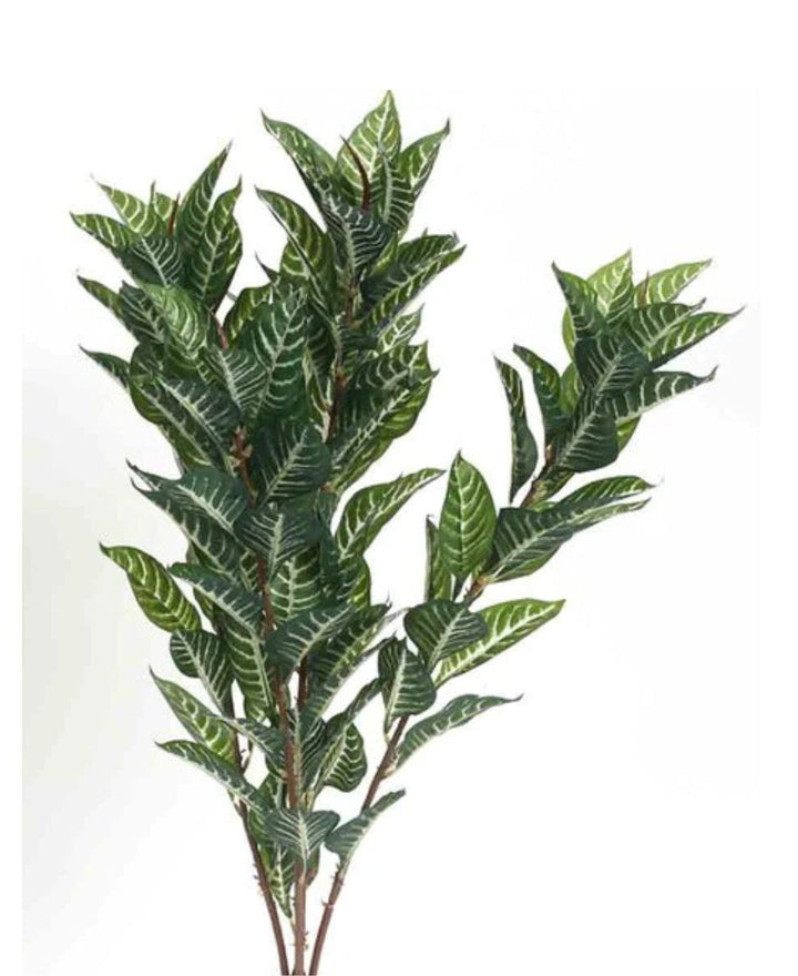 Expobazaar Lush Green Foliage Plant for Elegant Home Interiors