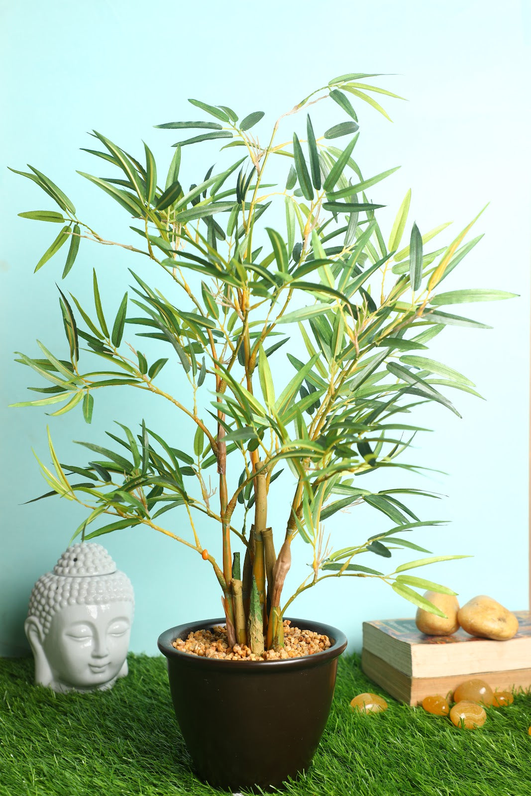 Expobazaar Vibrant Cordyline Bonsai for Contemporary Home Decor