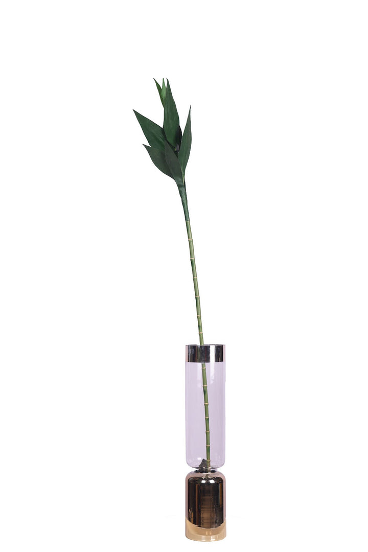 Expobazaar Modern Bamboo Stems in Decorative Glass Vase