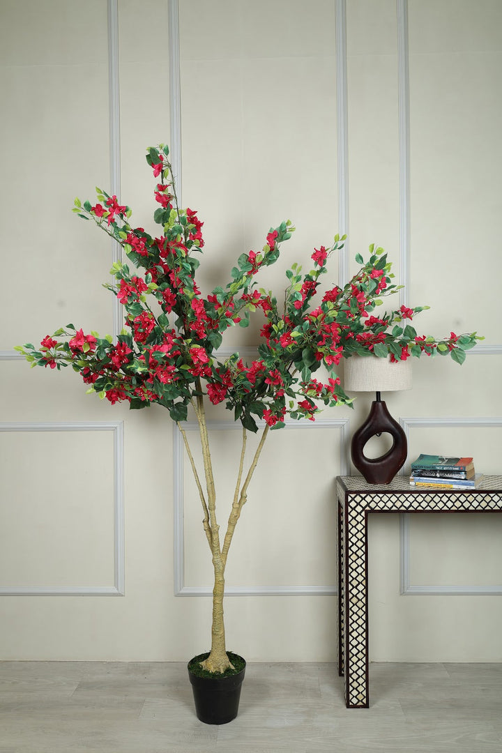 Expobazaar Vibrant Bougainvillea Tree for Elegant Home Décor With Pot