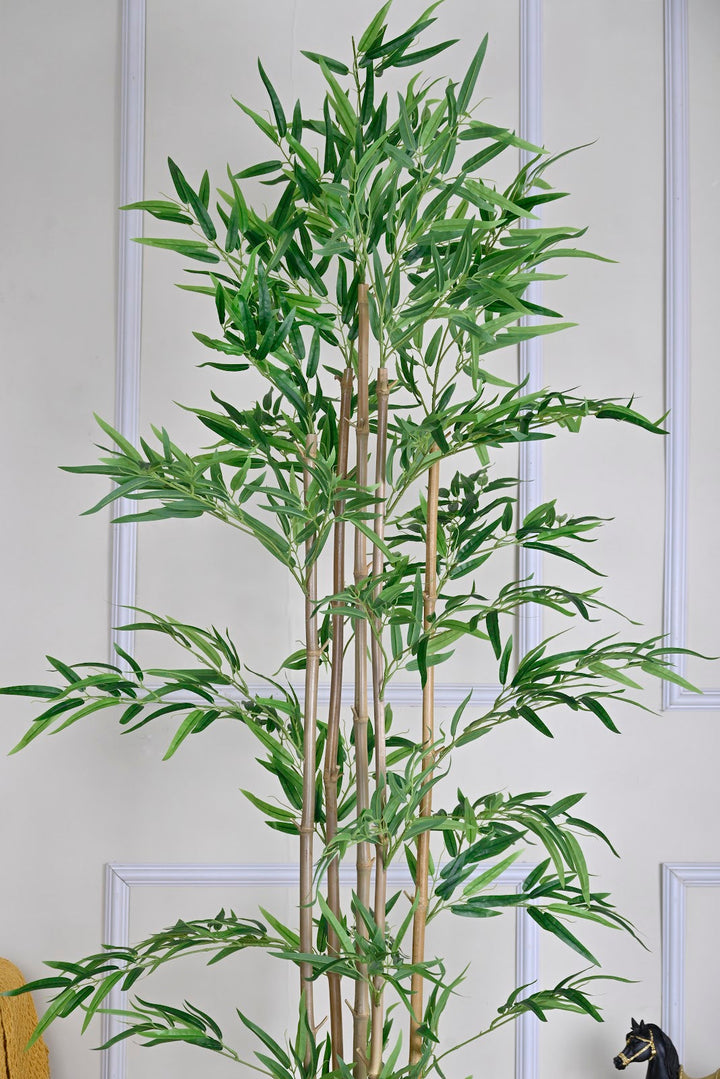 Expobazaar Tall Lush Bamboo Plant for Contemporary Interiors With Pot