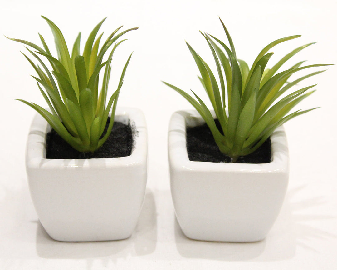 Expobazaar Modern Artificial Grass Bonsai for Stylish Interiors