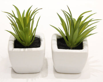 Expobazaar Modern Artificial Grass Bonsai for Stylish Interiors