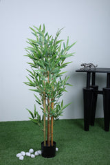 Expobazaar Tall Decorative Bamboo Plant for Contemporary Spaces With Pot