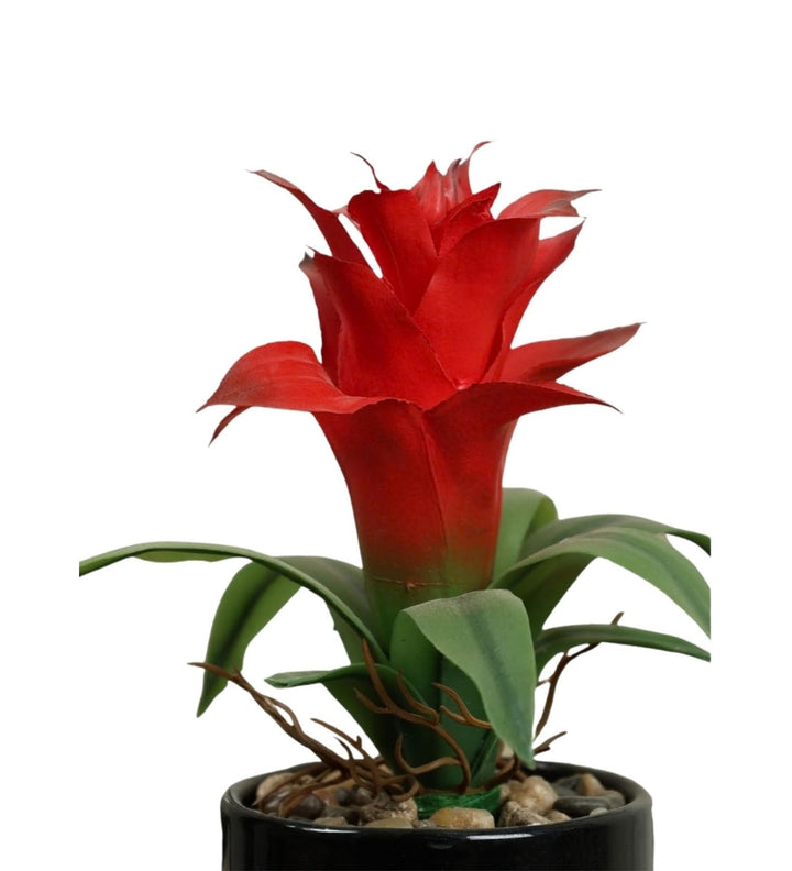 Expobazaar Artificial Bromeliad Bonsai for Vibrant Table Decor