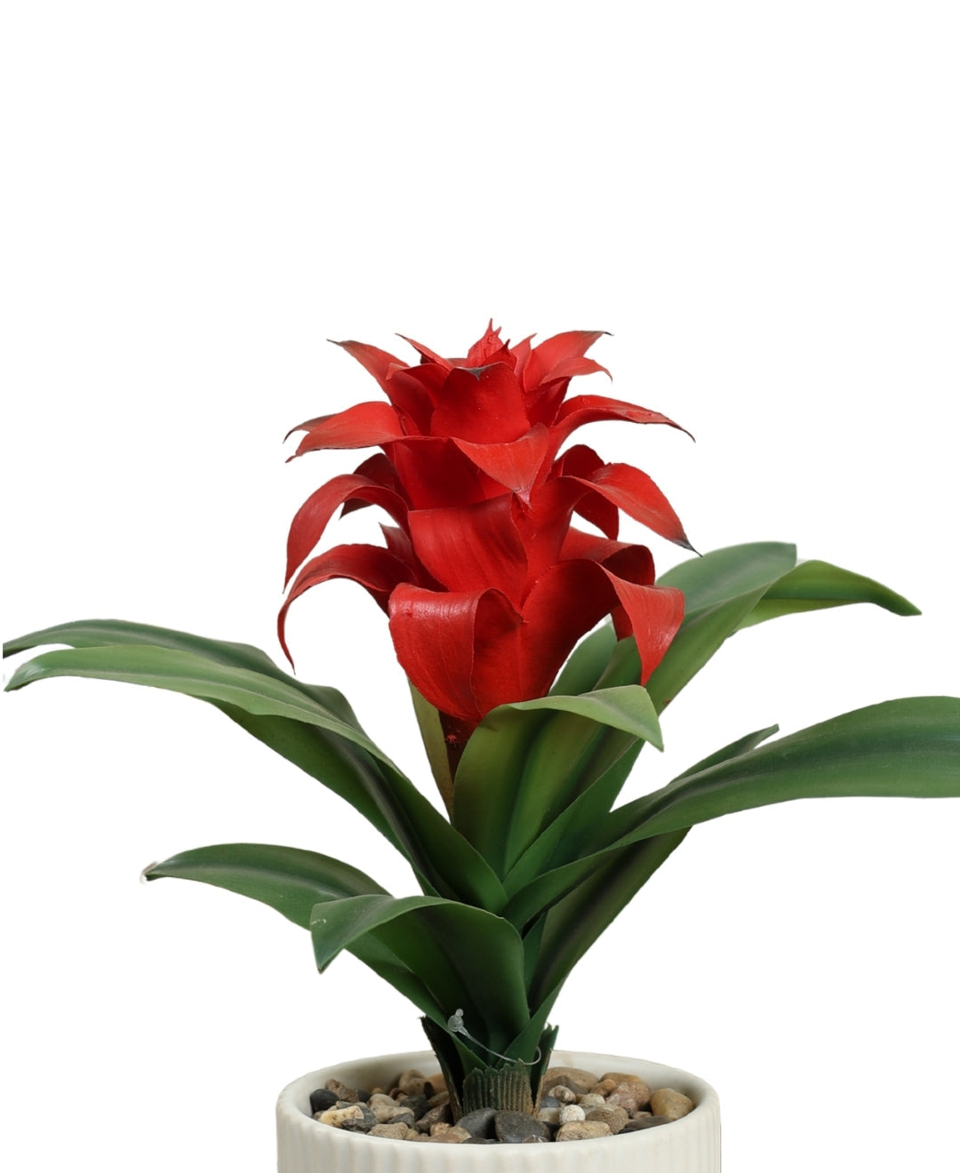 Expobazaar Artificial Bromeliad Flower Bonsai for Elegant Decor