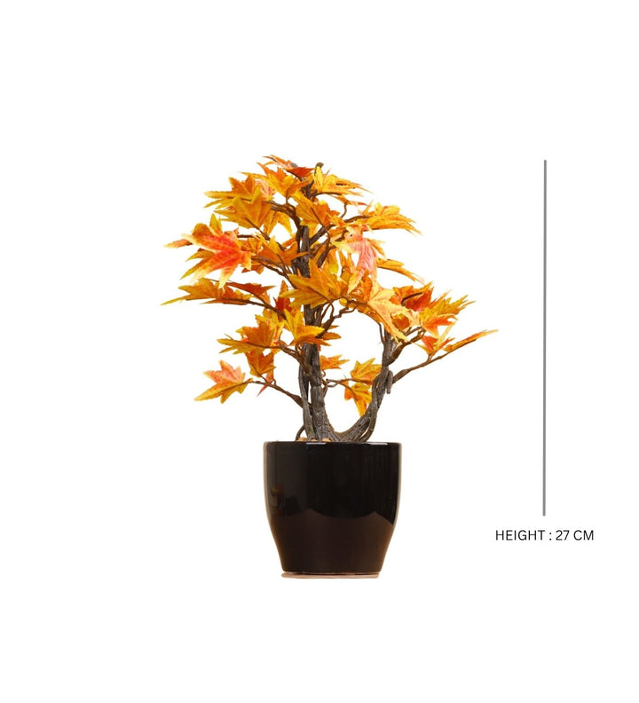 Expobazaar Elegant Maple Leaf Bonsai for Contemporary Decor