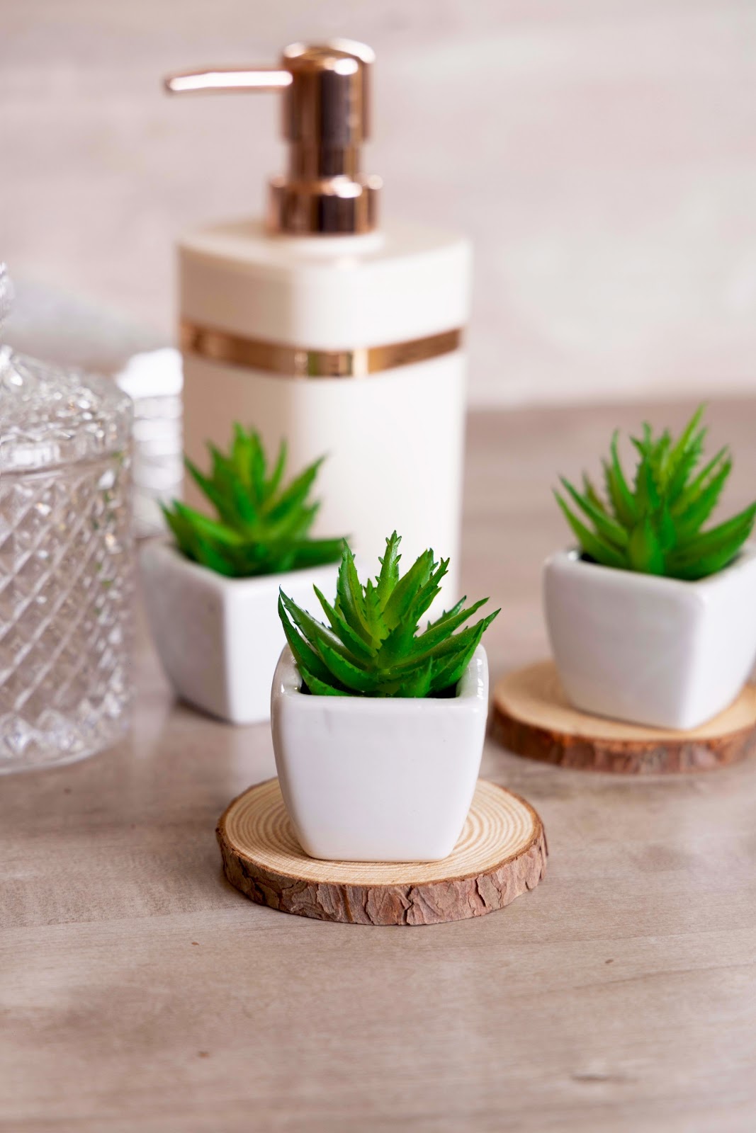 Expobazaar Mini Artificial Succulent Bonsai for Modern Decor