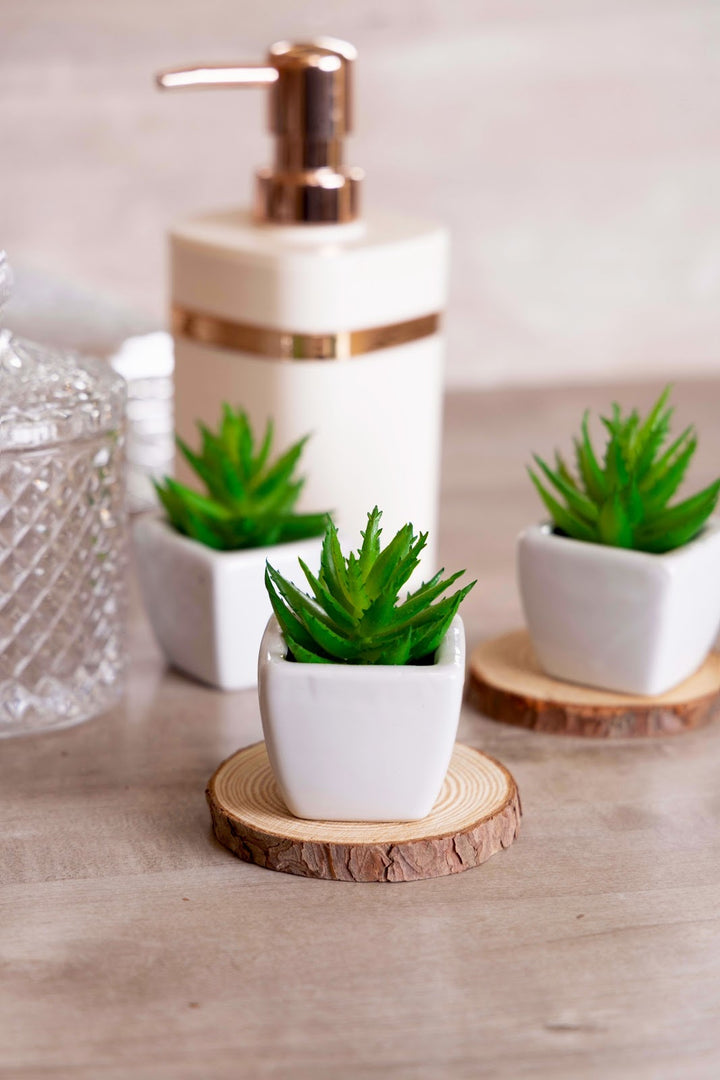 Expobazaar Mini Artificial Succulent Bonsai for Modern Decor