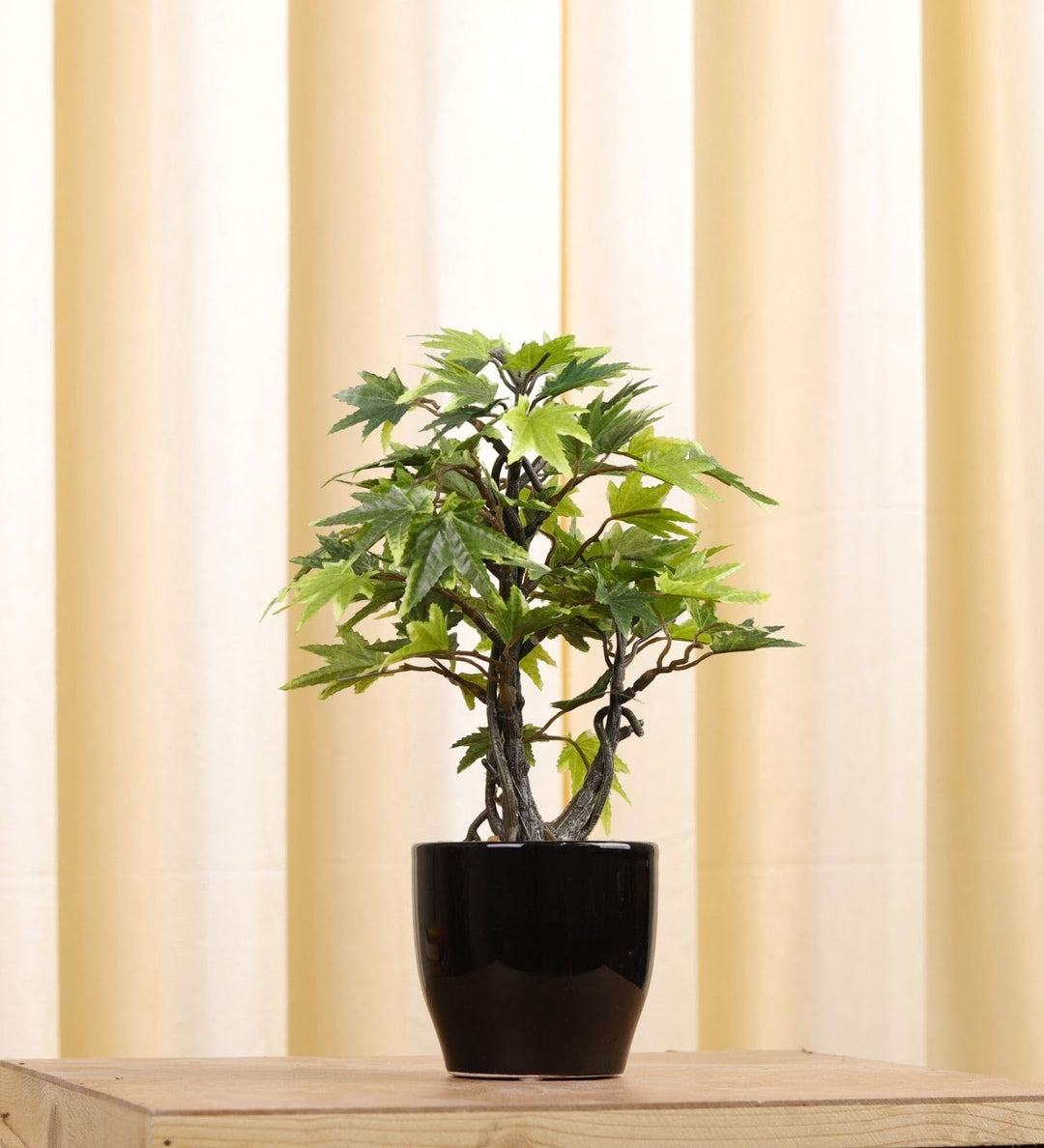 Expobazaar Elegant Maple Leaf Bonsai for Contemporary Decor