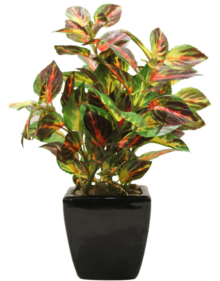 Expobazaar Lush Green Artificial Bonsai for Modern Decor