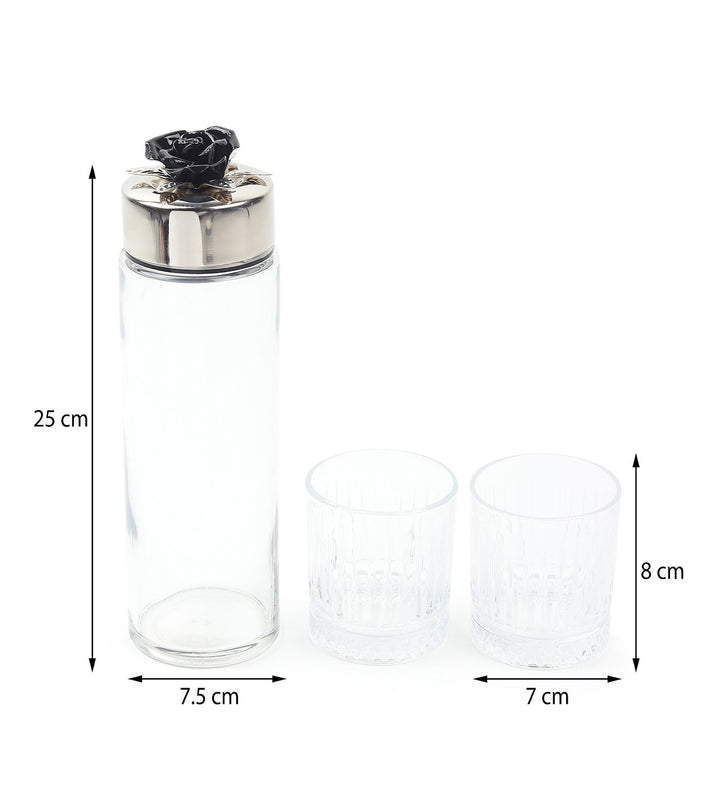 Petal Eclat Glass Water Bottle and Glass Set Black view 3