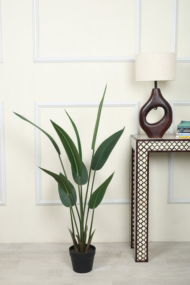 Expobazaar Modern Bird of Paradise Plant for Stylish Décor With Pot