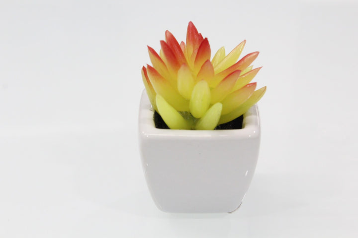 Expobazaar Mini Artificial Succulent Bonsai for Modern Decor