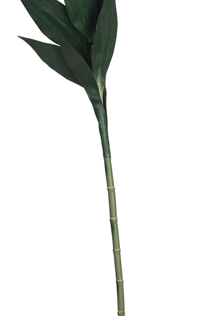Expobazaar Modern Bamboo Stems in Decorative Glass Vase