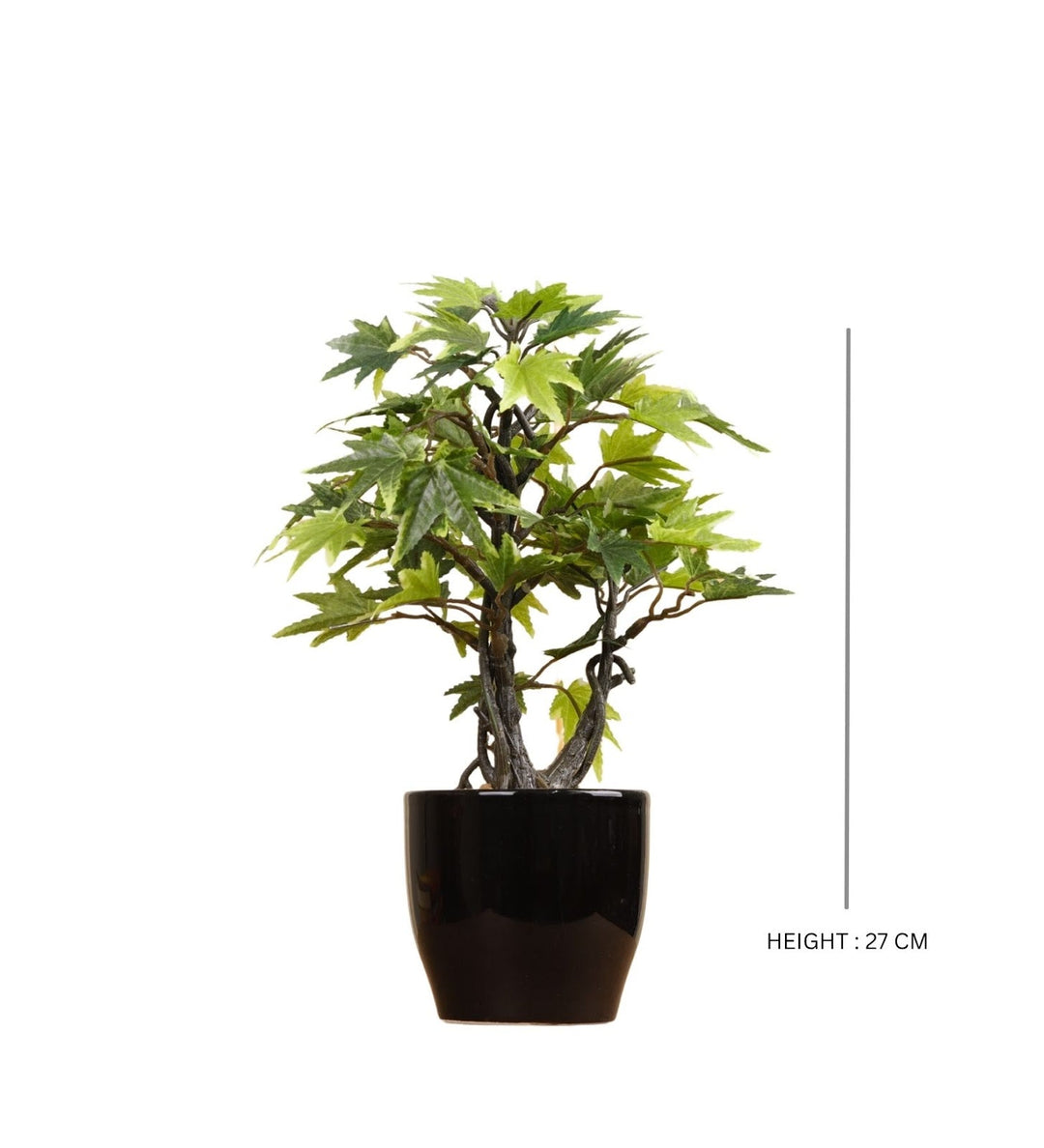 Expobazaar Elegant Maple Leaf Bonsai for Contemporary Decor