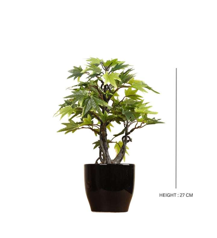 Expobazaar Elegant Maple Leaf Bonsai for Contemporary Decor