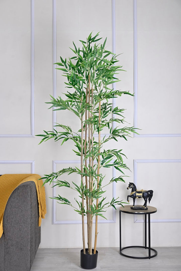 Expobazaar Tall Lush Bamboo Plant for Contemporary Interiors With Pot