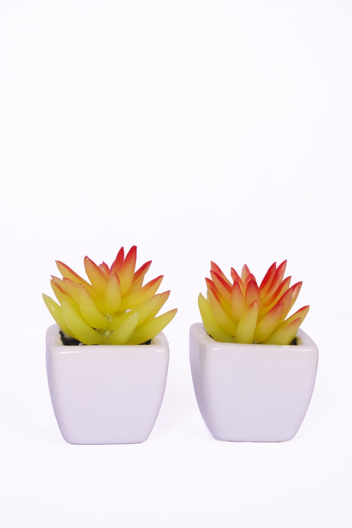 Expobazaar Mini Artificial Succulent Bonsai for Modern Decor