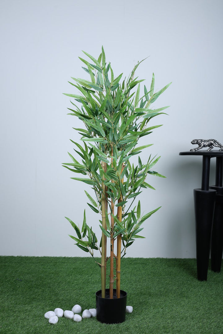 Expobazaar Tall Decorative Bamboo Plant for Contemporary Spaces With Pot