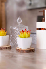 Expobazaar Mini Artificial Succulent Bonsai for Modern Decor