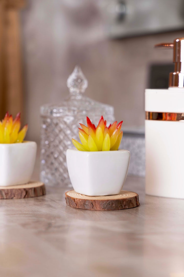 Expobazaar Mini Artificial Succulent Bonsai for Modern Decor