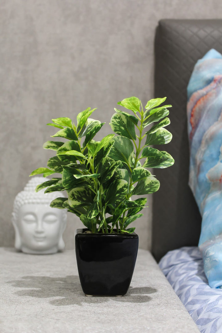 Expobazaar Lush Green Artificial Bonsai for Modern Decor