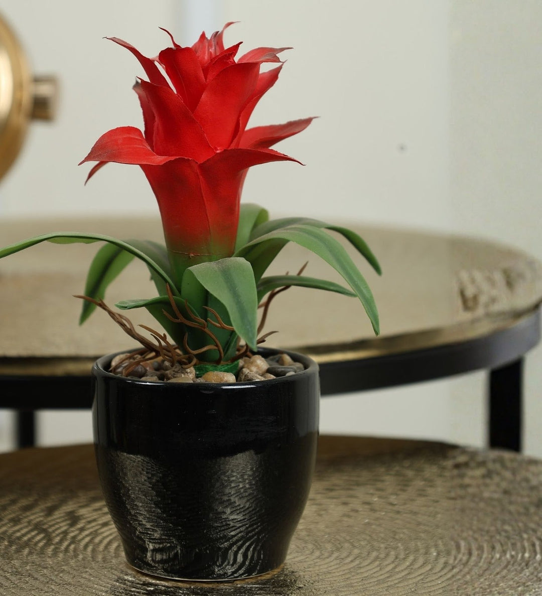 Expobazaar Artificial Bromeliad Bonsai for Vibrant Table Decor