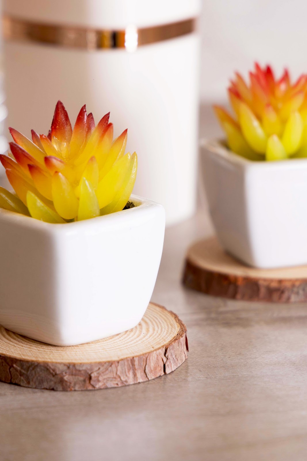 Expobazaar Mini Artificial Succulent Bonsai for Modern Decor
