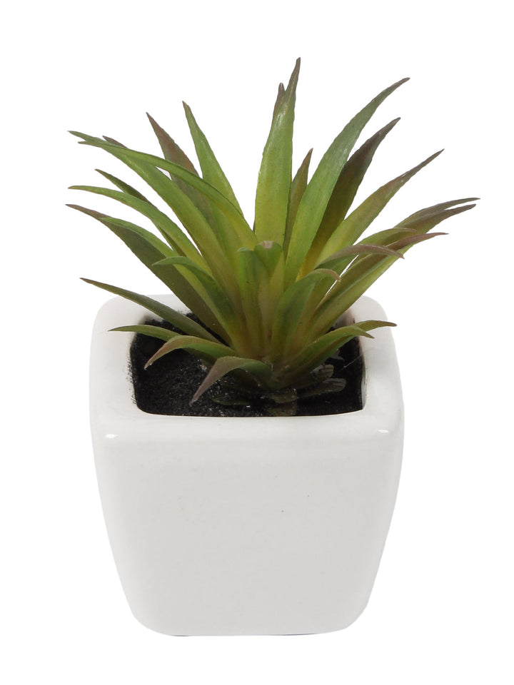 Expobazaar Modern Artificial Grass Bonsai for Stylish Interiors