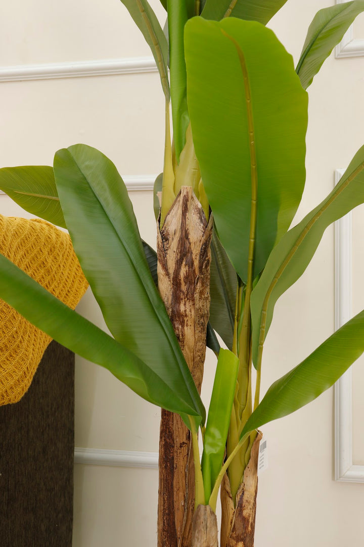 Expobazaar Elegant Artificial Banana Plant for Modern Spaces With Pot