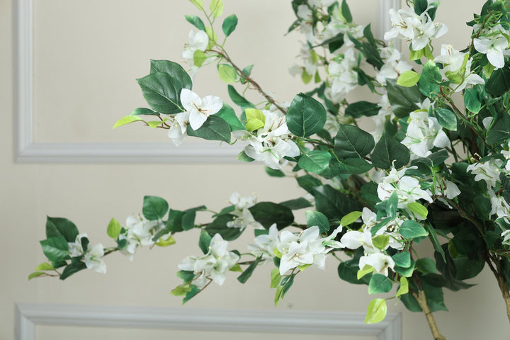 Expobazaar Vibrant Bougainvillea Tree for Elegant Home Décor With Pot