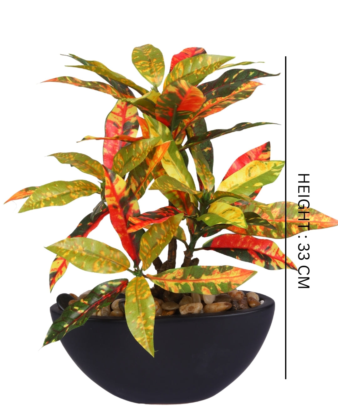 Expobazaar Elegant Bonsai in Modern Bowl
