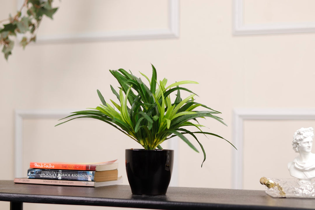 Expobazaar Tricolor Bonsai in Modern Decorative Pot