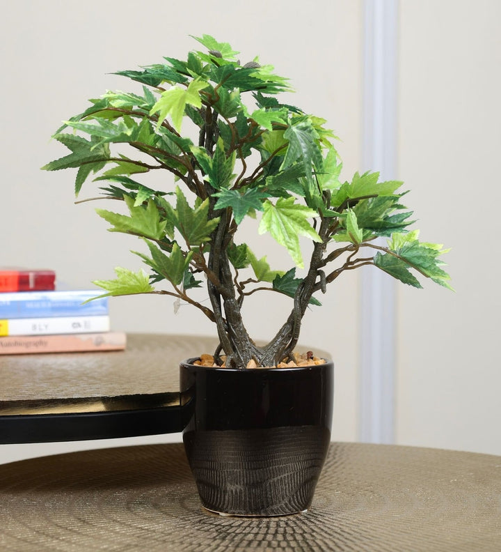 Expobazaar Elegant Maple Leaf Bonsai for Contemporary Decor