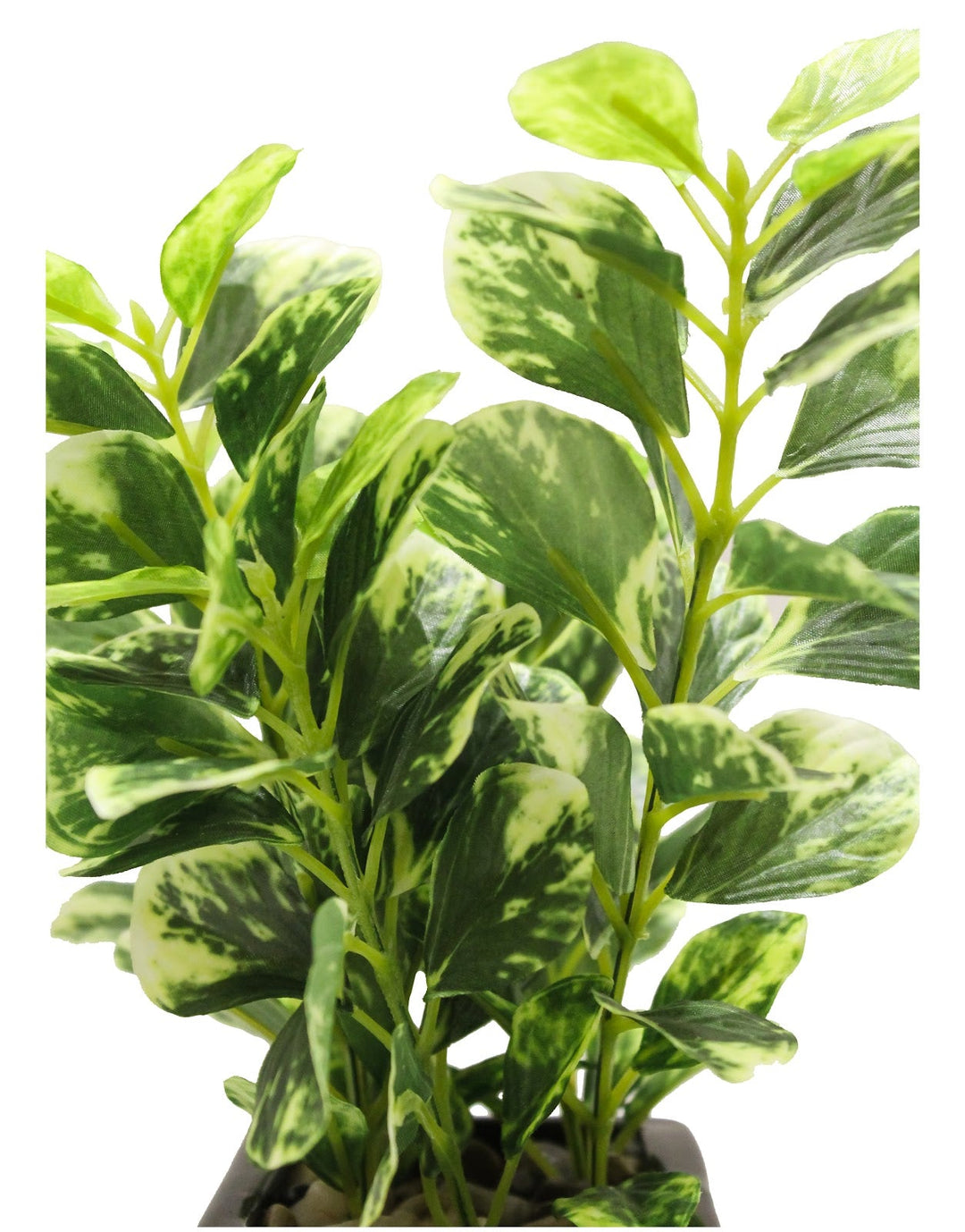 Expobazaar Lush Green Artificial Bonsai for Modern Decor