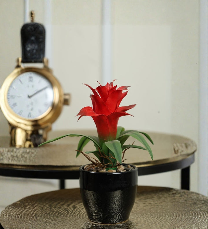 Expobazaar Artificial Bromeliad Bonsai for Vibrant Table Decor