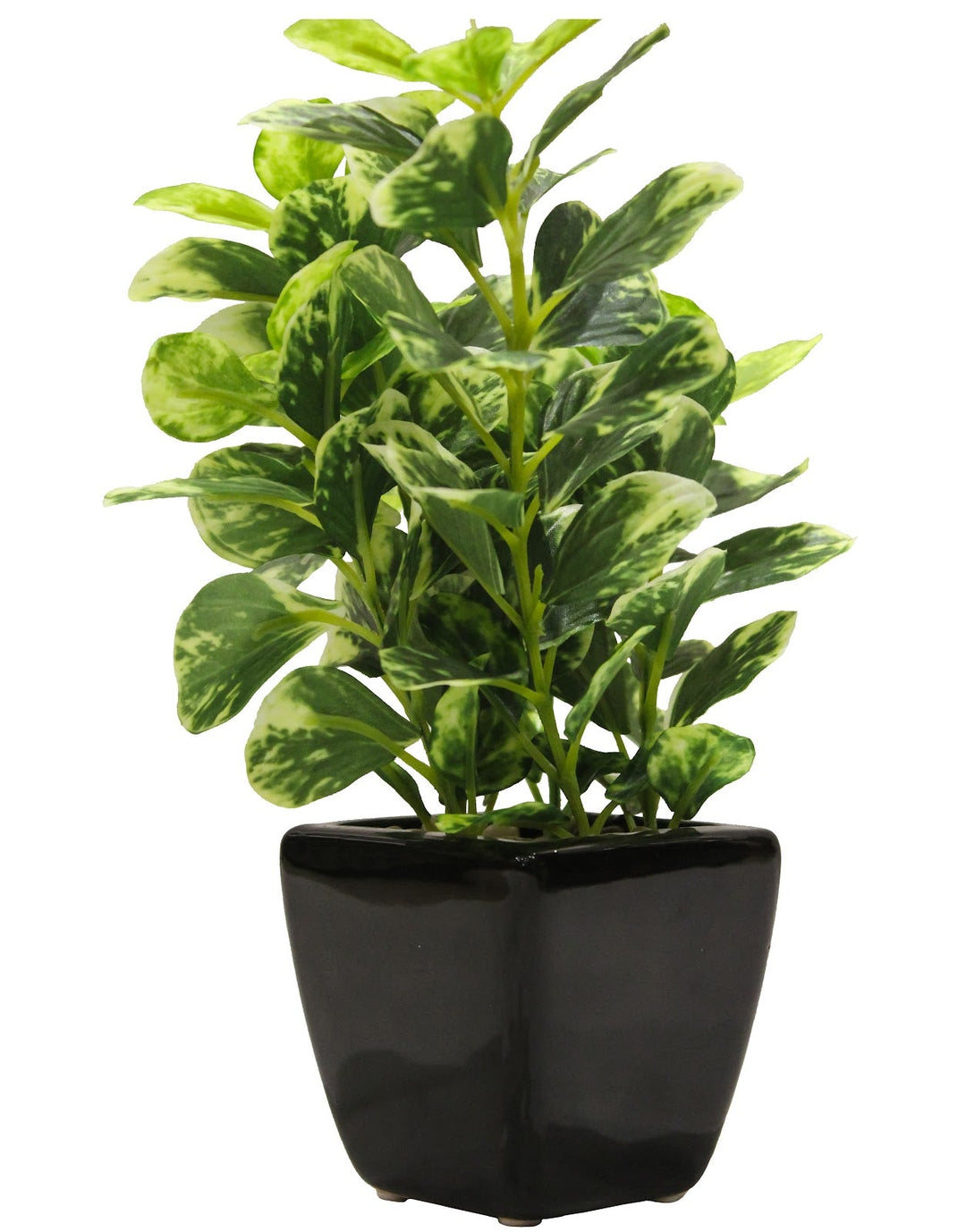 Expobazaar Lush Green Artificial Bonsai for Modern Decor