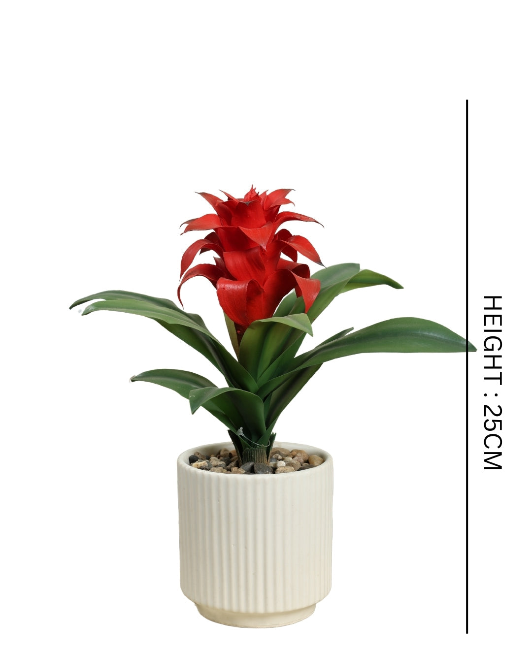 Expobazaar Artificial Bromeliad Flower Bonsai for Elegant Decor