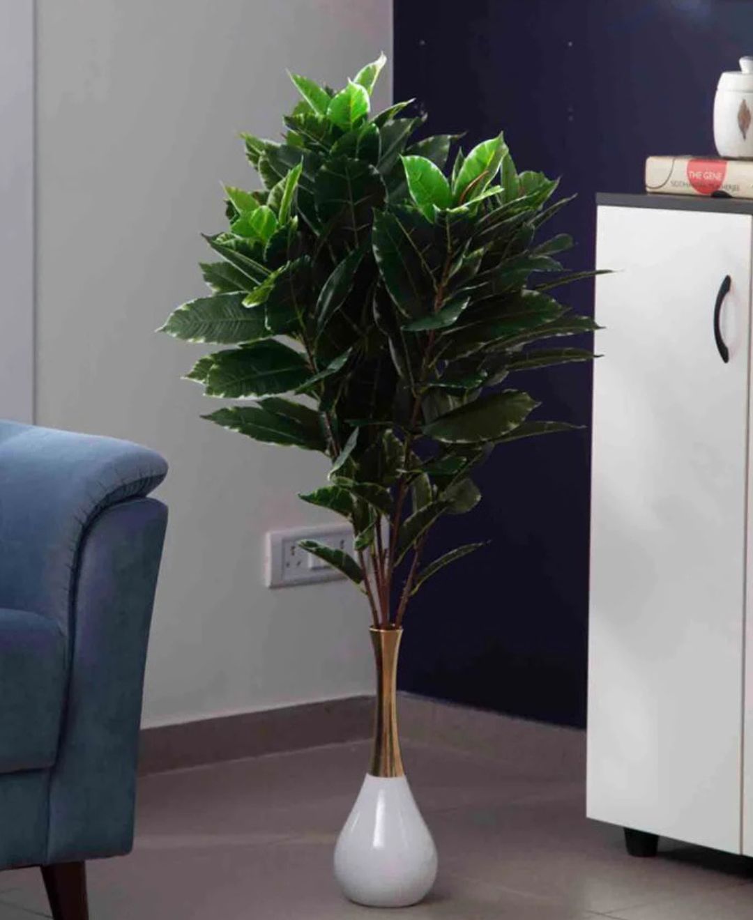 Expobazaar Lush Green Foliage Plant for Elegant Home Interiors