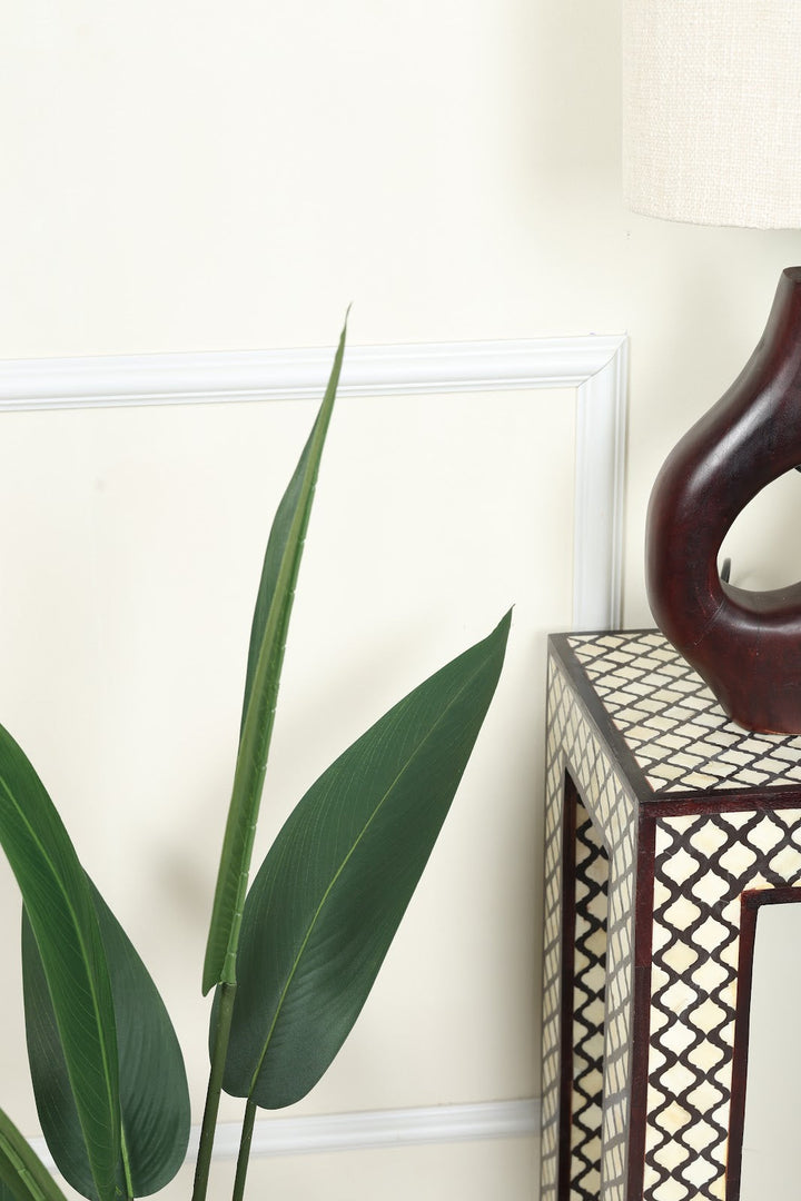Expobazaar Modern Bird of Paradise Plant for Stylish Décor With Pot