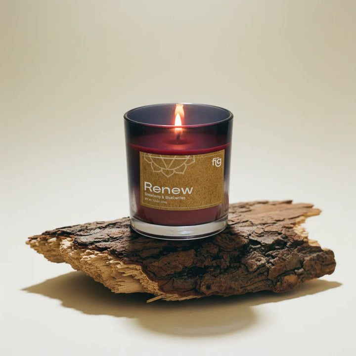 Expobazaar Renew Berries Vegan Scented Candle