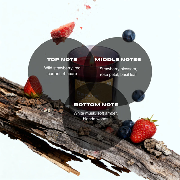 Expobazaar Renew Berries Vegan Scented Candle