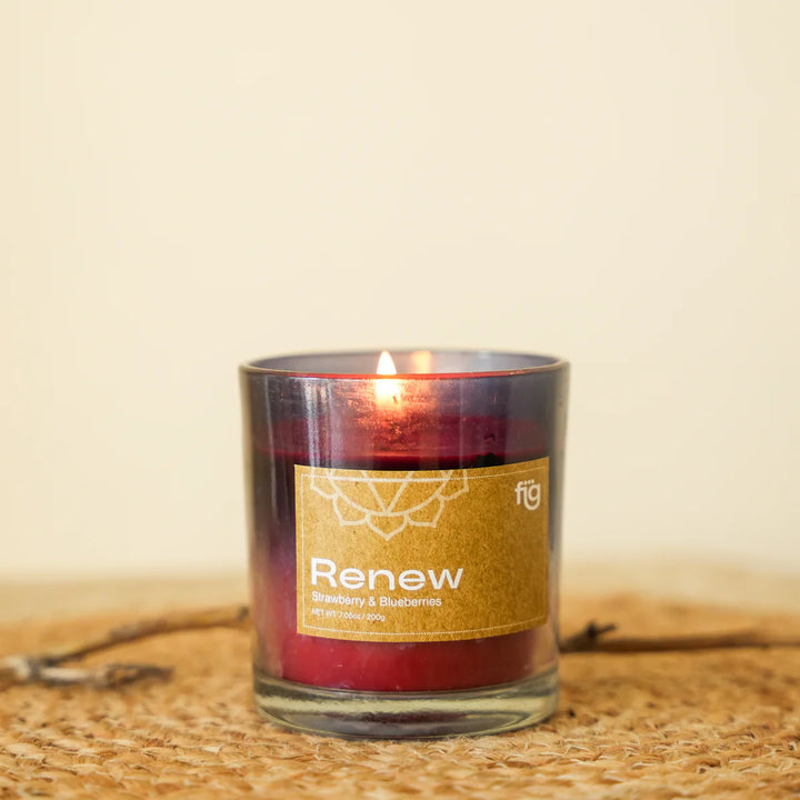 Expobazaar Renew Berries Vegan Scented Candle